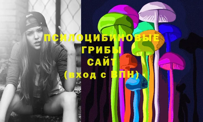 Псилоцибиновые грибы Cubensis Гаджиево